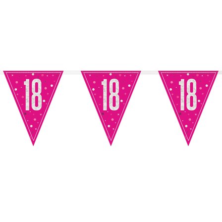 Flagguirlande 18 år Pink & Sølv