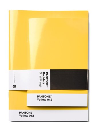 PANTONE Pantone Booklets Set Of 2 Dotted - Yellow - ONE SIZE