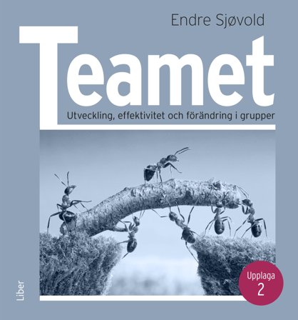 Teamet - Utveckling, effektivitet och förändring i grupper