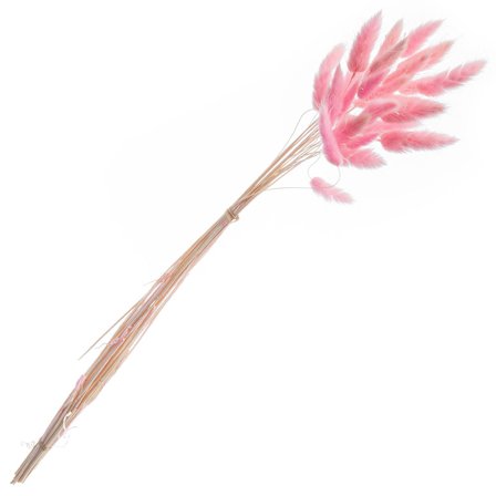 Tørrede Harehaler Lyserød 25-pak