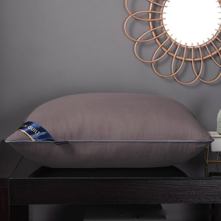 Sängkuddar Polyesterfyllning Mjuk Stödjande plyschkuddar för att sova 48x74cm