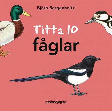 Titta 10 fåglar - Bok av Björn Bergenholtz - Board book