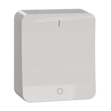 Schneider Electric Exxact Strømbryter 250 V, 2-polet Hurtigkobling, Strømbrytere & vegguttak