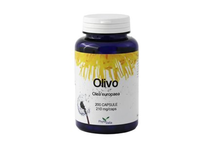 Olivo 60 Capsule