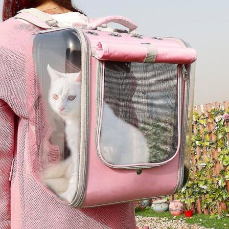 Husdjur Katt Bärare Ryggsäck Andas Katt Resor Utomhus Axelväska Kompatibel med Små Hundar Katter Bärbar förpackning Bära Djurtillbehör Bästa presenten