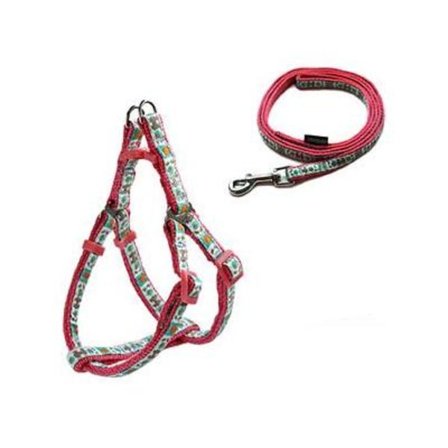 Hundsele + Hundkoppel