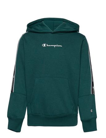 Hooded Sweatshirt Hoodie Trøje Grøn Champion