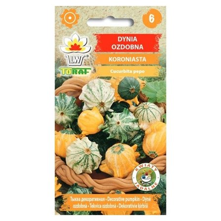 Frö till prydnadspumpa Koroniasta – Färgglada kronformade frukter