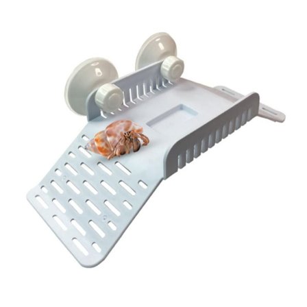 Terrapin Trapesformet Terrasse Eremittkreps Rampeleker Eremittkreps