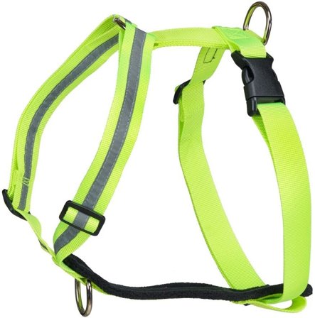 FinNero Träningssele SALO Ljusgul XS