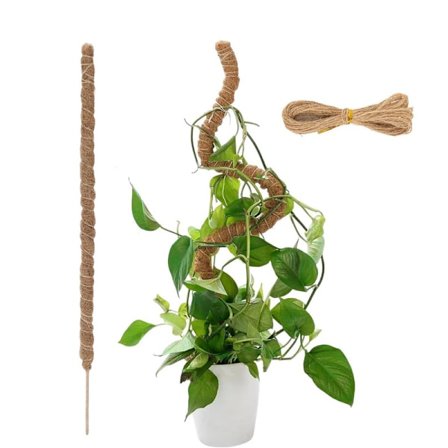 Mossastav Bøybar 70-100cm, Plantestøtte / støttestav – Klatreplanter, 1 / 2-pakning{ROG}