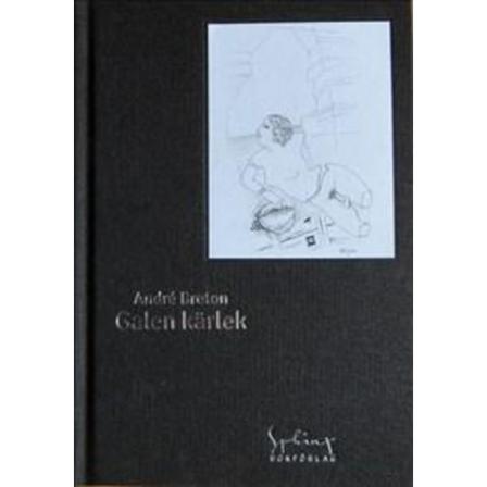 Galen kärlek 9789197866088