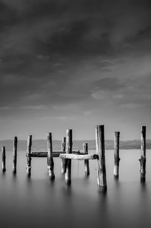 Venture Home - Juliste Ocean - Musta - Julisteet - 21X30 - - Homeroom