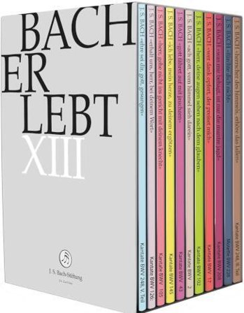 Johann Sebastian Bach - Bach Erlebt XIII (11 Dvd)
