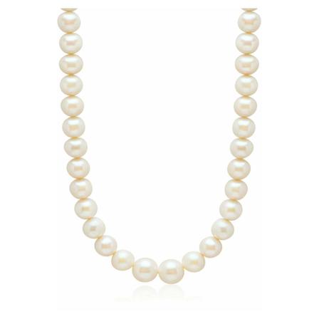 Nialaya - Halsband - Beige - Dam - Storlek: One Size, Dam, Storlek: ONE SIZE