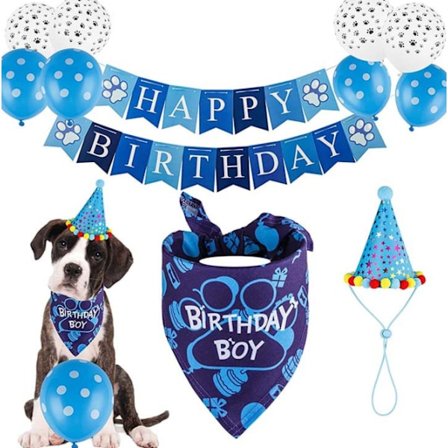 Pet Födelsedag Dekoration Set Pet Ballong