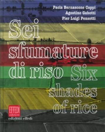Sei sfumature di riso-Six shades of rice Paola Bernascone