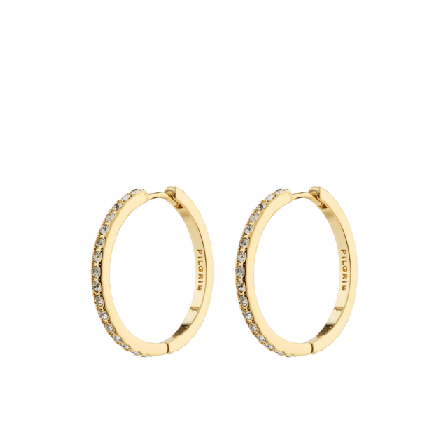 Pilgrim Ebna Earrings Smycken & klockor Dam Guld ONESIZE