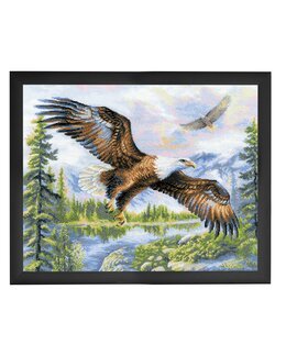 Bild Freiheit - Riolis