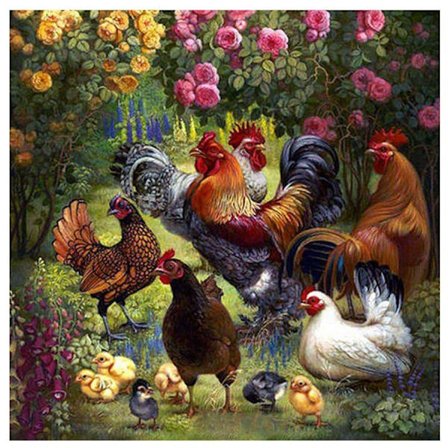 30*40cm DIY Diamantmaleri (bare maleri, ingen ramme) Diamantmaleri-tema med kylling og hane, 5d full broderi
