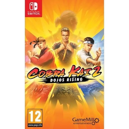 Cobra Kai 2 Dojos Rising Switch Game