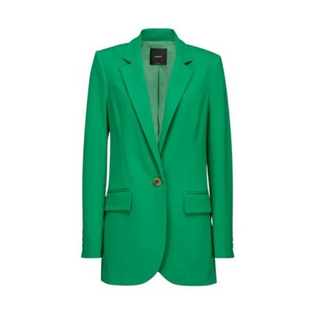 Pinko, Pinko Jackets Green Zielony, Kobieta, Rozmiar: XS