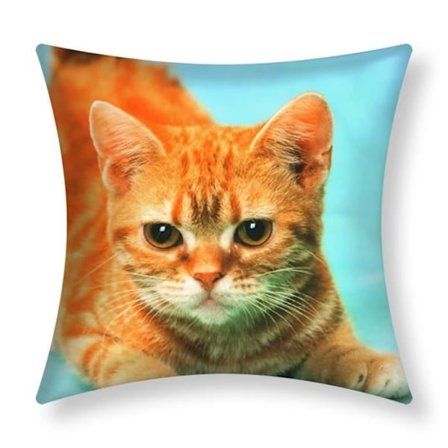 Pudevår - AVIZAR - Sæt af 2 - 40x40 cm - Gul Kat Mønster - Moderne Design