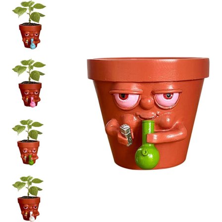 Rolig Blomkruka för Suckulenter och Inomhusväxter, Rolig Kruka, Cr