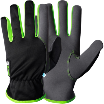 Mont.Hanske Maroskin Ex