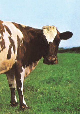 Atom Heart Mother. Il cuore nuovo dei Pink Floyd Giovanni Rossi