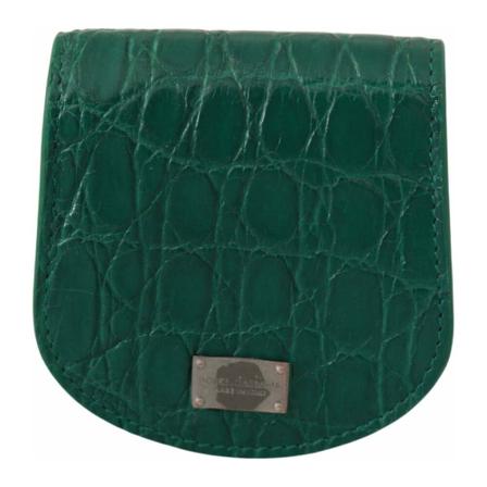Dolce & Gabbana Wallets & Cardholders Grøn, Dame Punge og Kortholder, Størrelse: ONE Size