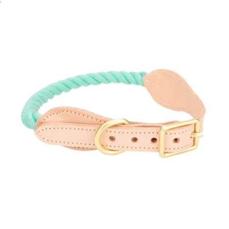 Hundkoppelhalsband - Finish i vävd bomull och kohud - Snygg D