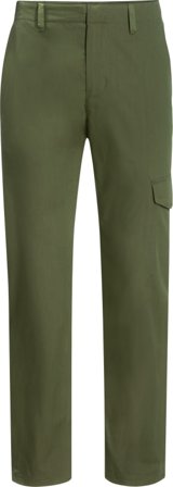 Jack Wolfskin Men's Lakeside Trip Pants Men hiking trousers Green 56