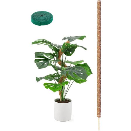 Växtstöd / stödstav, Böjbar Mossestav 70-100cm – Klätterstöd 1/2-Pack, för inomhusväxter, murgröna och monstera
