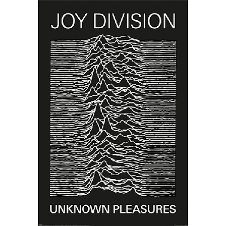 Joy Division Unknown Pleasures Poster 91,5 cm x 61 cm Svart/Vit
