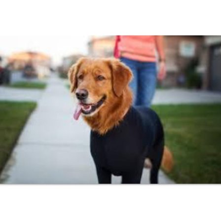 Basplagg för mellanstora och stora hundar, åtsittande kläder med fyra ben, sällskapshundar, katter, kläder med fyra ben, hushållskläder och -tillbehör