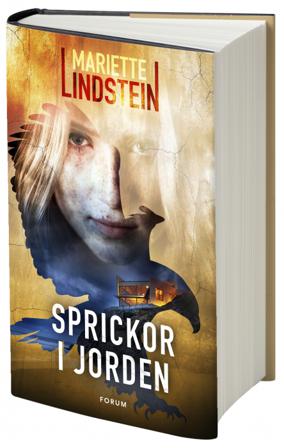 Sprickor i jorden - Bok av Mariette Lindstein - Inbunden