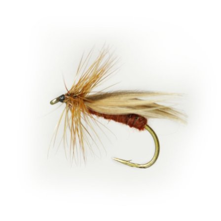 Europa 12 Rusty Brown # 12