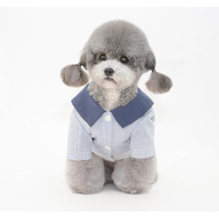 Husdjurskläder Vår Sommar Ny Hundskjorta Two Feet Apparel Couple's Shirts Gray and blue L