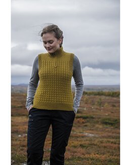 Vest Glaciär - Järbo