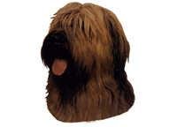 Briard blond - klistremerker