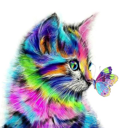 5D DIY Full Diamond Cat 40x40cm, Rhinestone Diamond Painting Kit