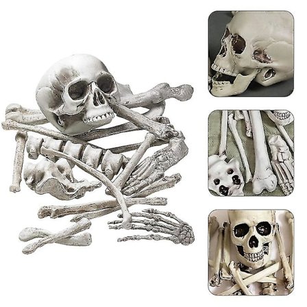 28 stycken brutna ben Plastskelettben och skalldekor