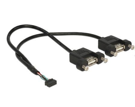 Delock intern-til-ekstern USB-kabel - 10-pins USB-kontakt til USB - 25 cm
