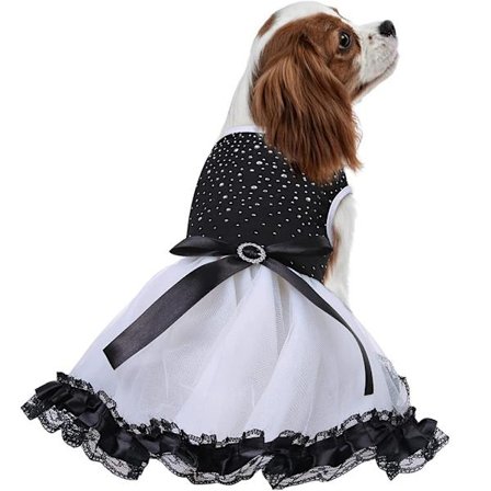 Hundekjole Valpeskjørt Hund Prinsessekjoler Ballett Tutu Bryllup Blondekjole Luksus Sløyfekjole Chihuahua Klær for Små Hundejenter Fest Halloween