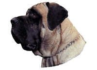 Engelsk mastiff - klistremerker