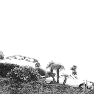 Hot dreams Timber Timbre