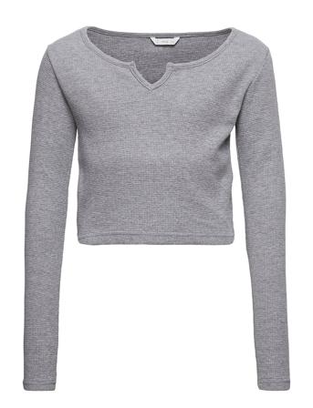 Pico Grey Mango