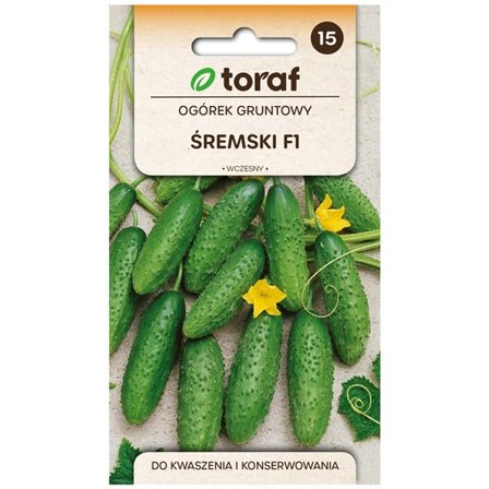 Frö till gurka Śremski F1 – Tidig och högavkastande för inläggning och sallader