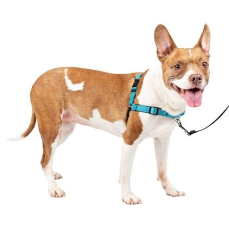 Djursele Petsafe - 536231 - Deluxe Easy Walk sele
